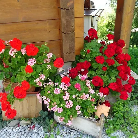 Bio- Erlebnis-bauernhof-thonnerhof