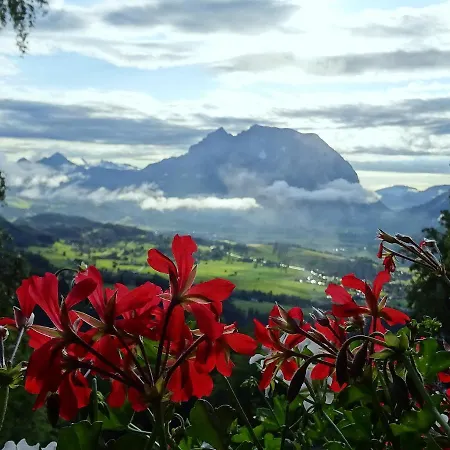 Bio- Erlebnis-bauernhof-thonnerhof Farm stay Aigen im Ennstal