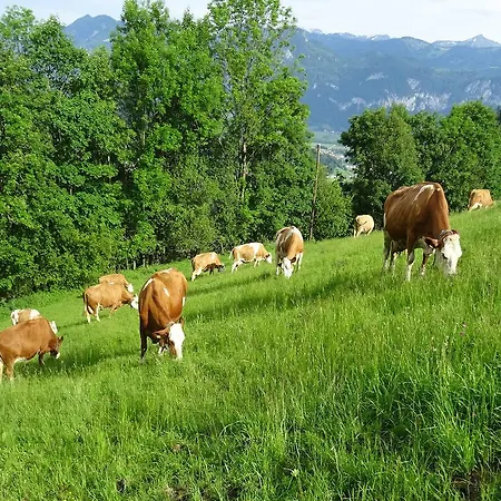 Bio- Erlebnis-bauernhof-thonnerhof Farm stay *