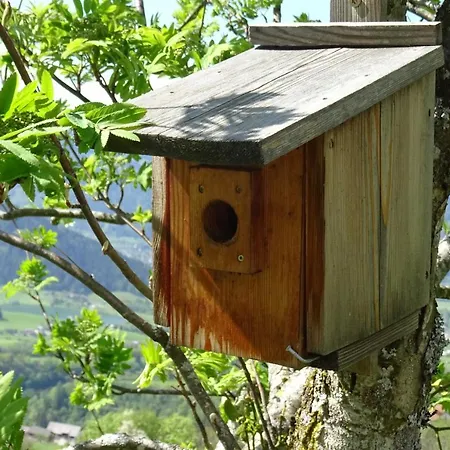 Bio- Erlebnis-bauernhof-thonnerhof Farm stay Aigen im Ennstal
