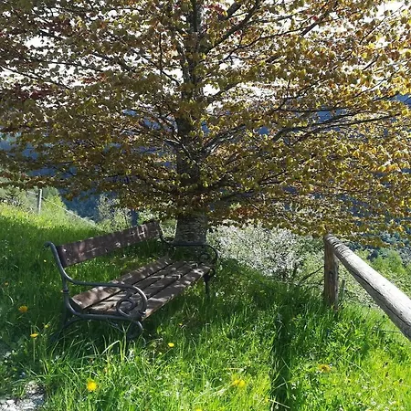 Bio- Erlebnis-bauernhof-thonnerhof *